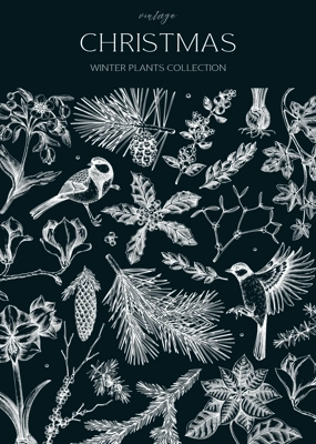 Vintage Christmas card design. Winter nature background. Conifer trees, winter flowers, birds sketches on chalkboard. Hand drawn vector illustration. NOT AI generated